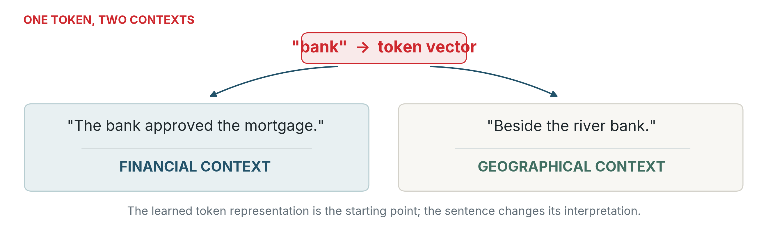 Bank starts as the same token vector, then branches into financial and riverside meanings when surrounded by different sentences.